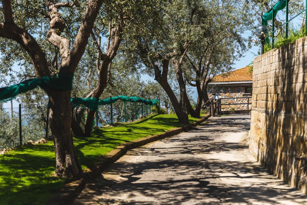 Casa Clementina Marciano Panzió Massa Lubrense Kültér fotó