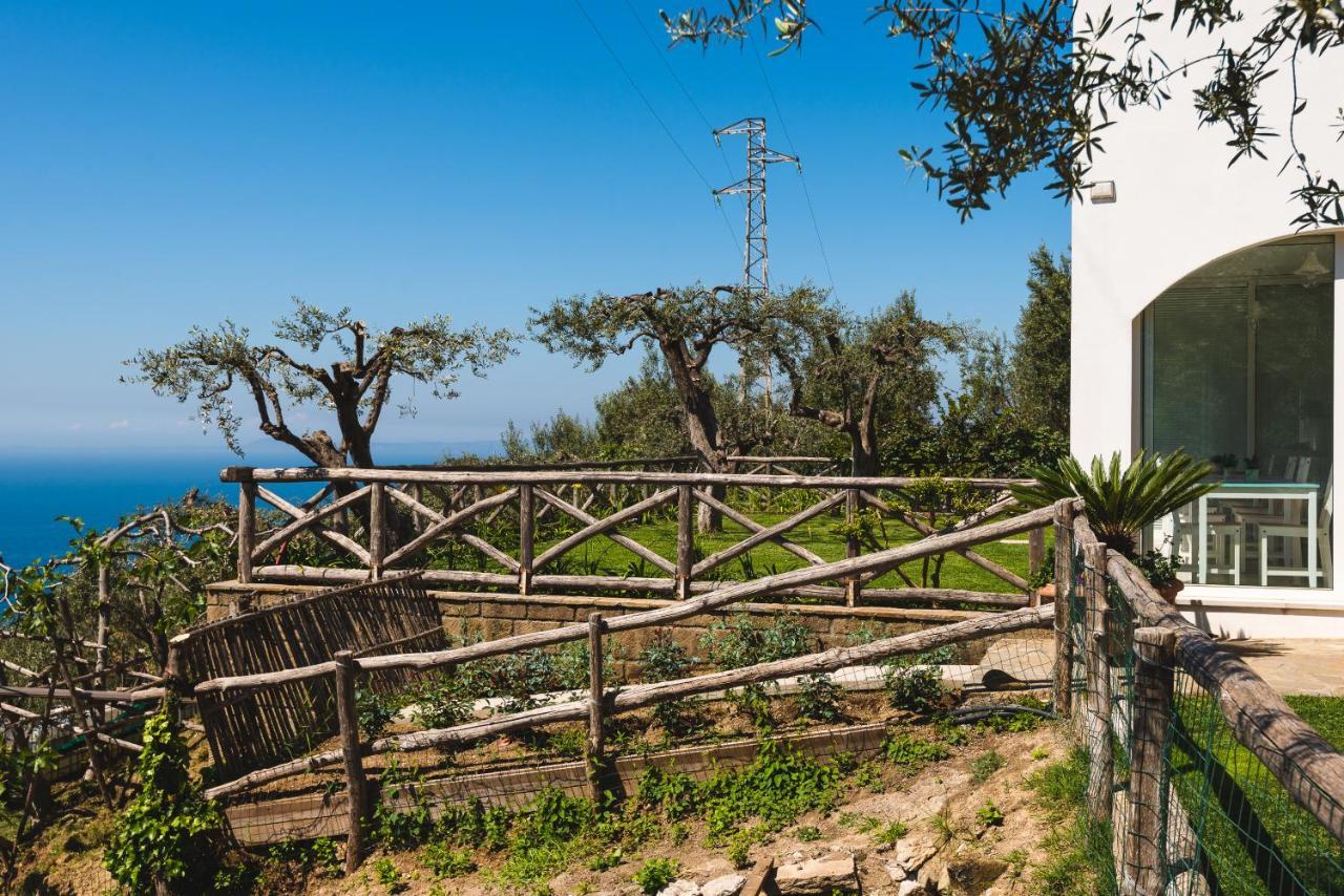 Casa Clementina Marciano Panzió Massa Lubrense Kültér fotó
