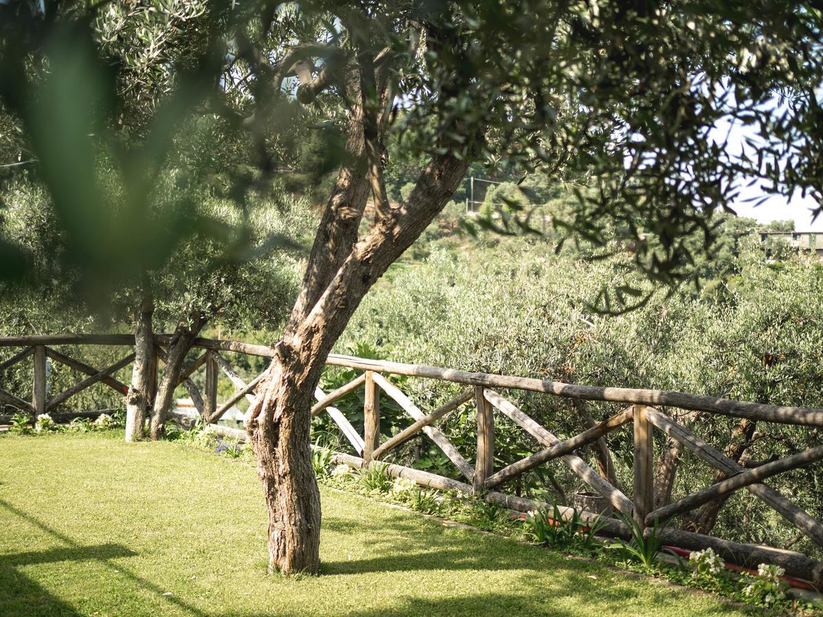 Casa Clementina Marciano Panzió Massa Lubrense Kültér fotó